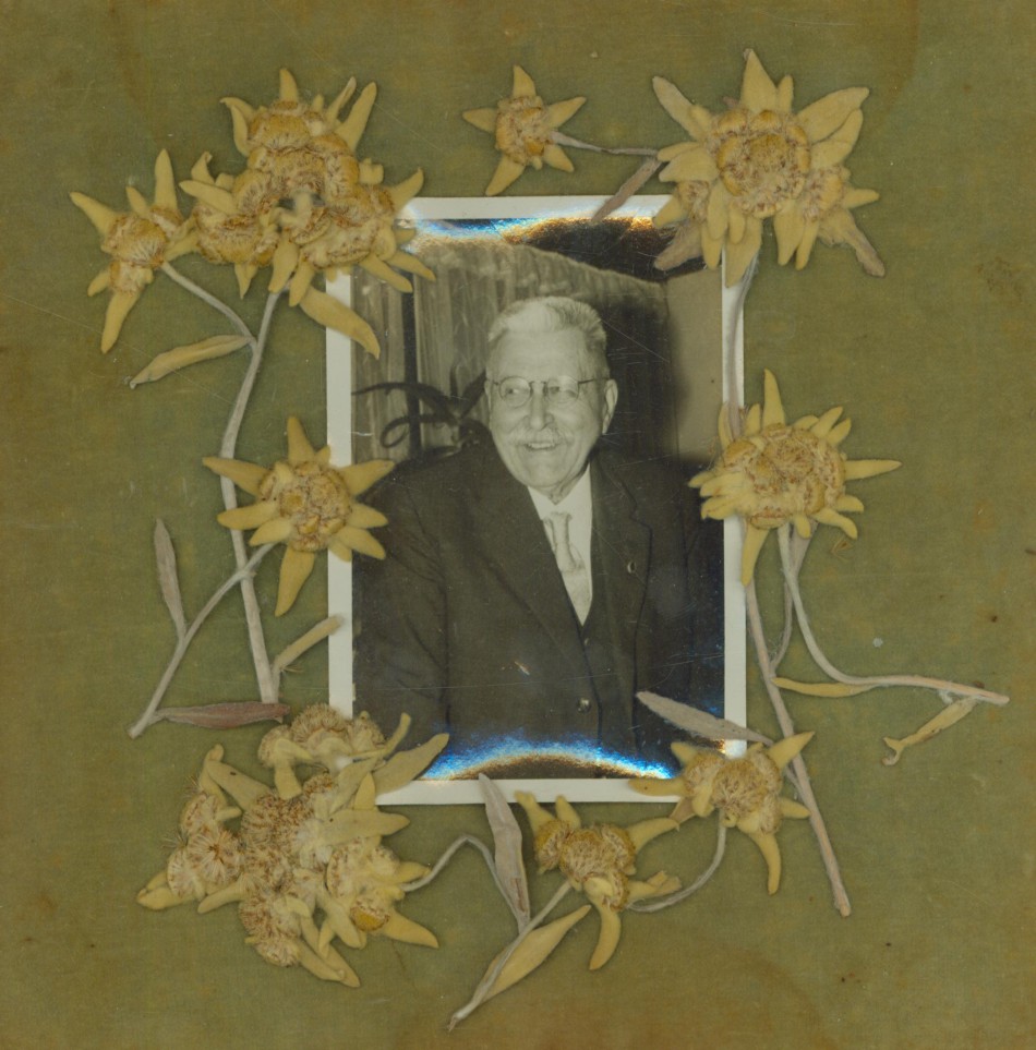 Memória Digital: Edelweiss