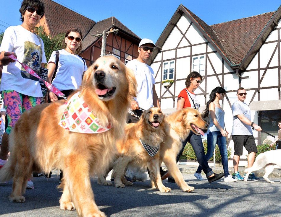 Abertas as inscrições para a 26ª Cãominhada