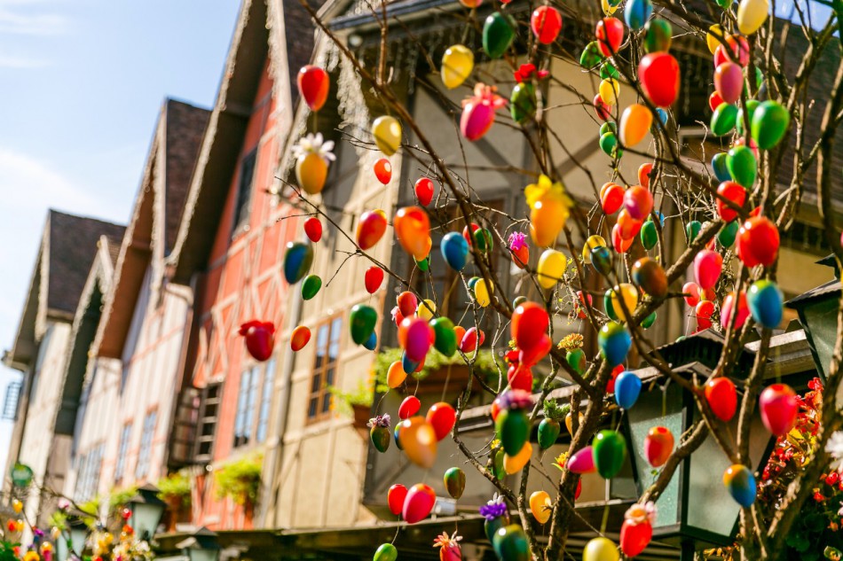 Mais de quatro mil alunos já passaram pela 7º Osterdorf