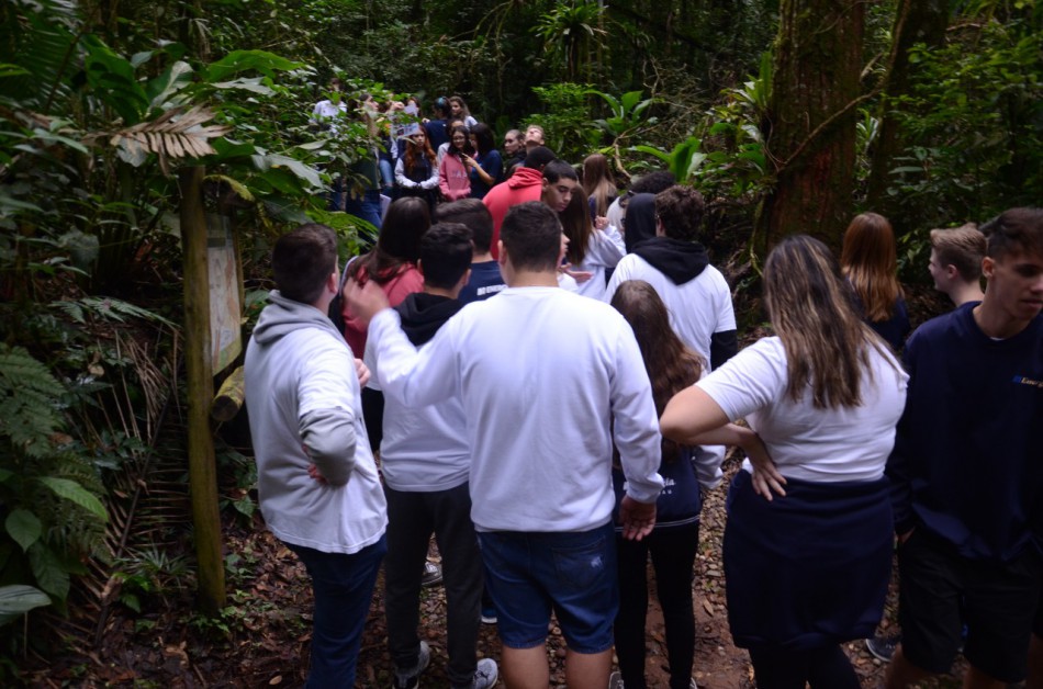 Dia Nacional da Mata Atlântica é celebrado no Parque São Francisco