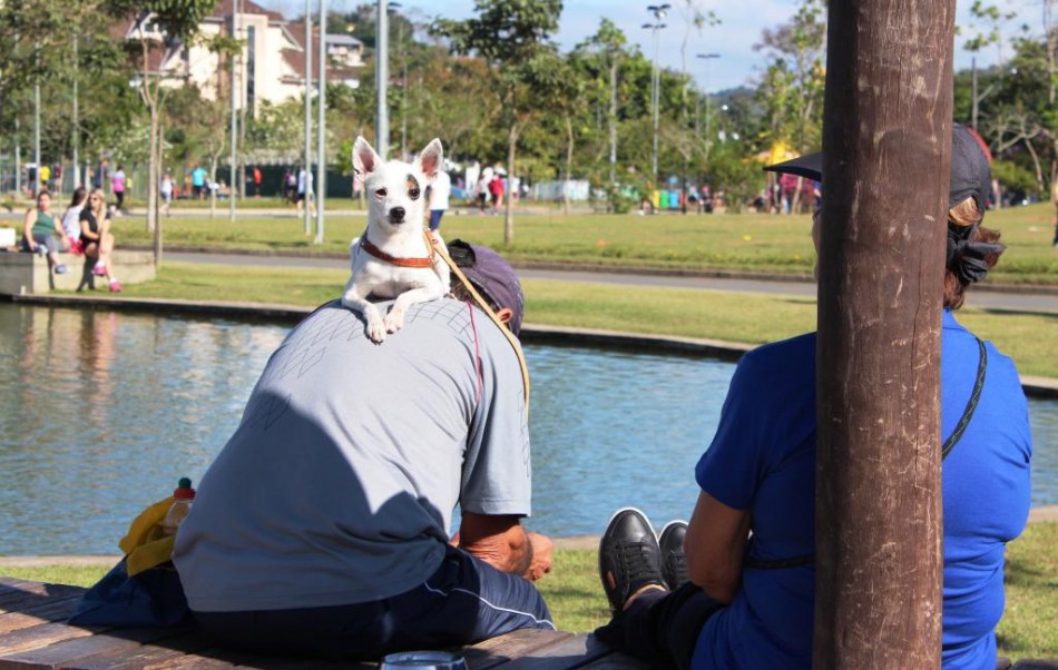 Fim de semana será de Cão no Parque e na Vila