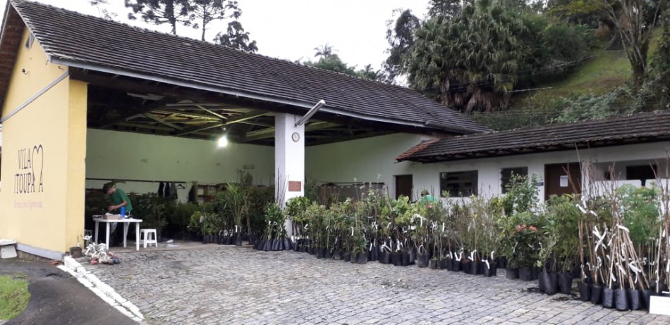 Vila Itoupava recebe Campanha de Mudas Frutíferas