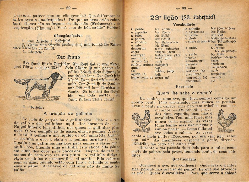 Memória Digital: língua alemã nas escolas