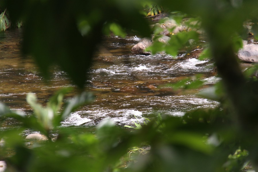 Plano de Desenvolvimento do Turismo Sustentável para a Nova Rússia é apresentado