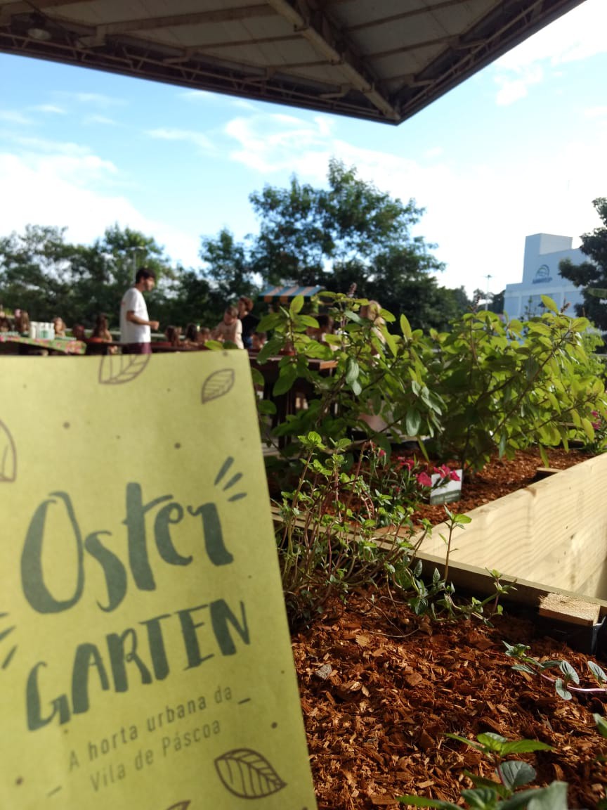 Ostergarten realiza a primeira colheita das hortaliças