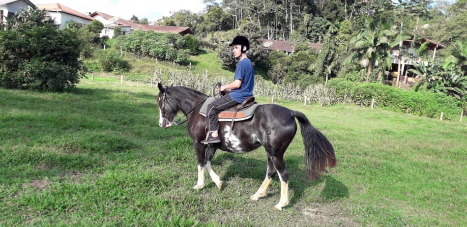 Paradesporto participa de competição de equitação adaptada pela primeira vez