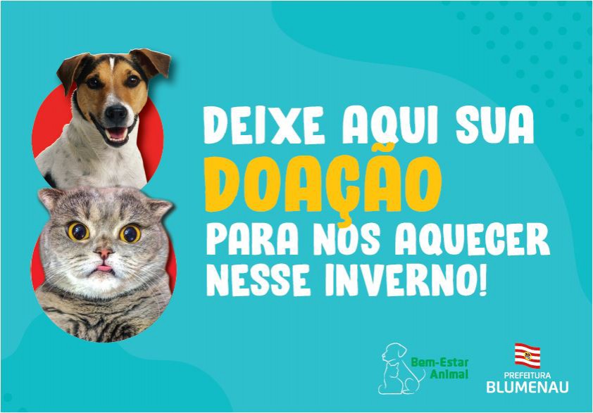 Cepread inicia campanha de arrecadação de roupas para cães e gatos