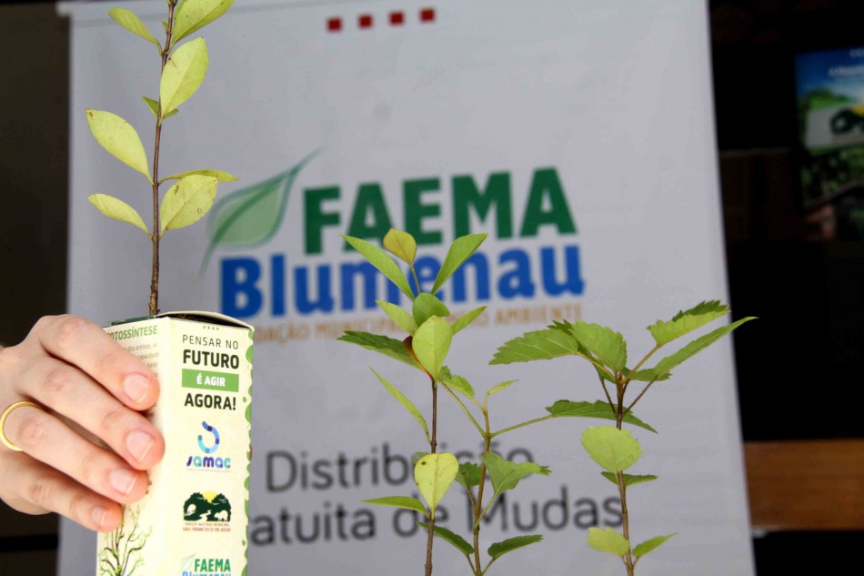 Faema vai distribuir mudas de árvores nesta terça-feira