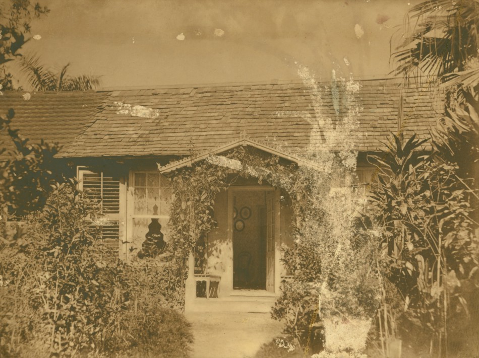 Memória Digital: 200 anos Dr. Blumenau