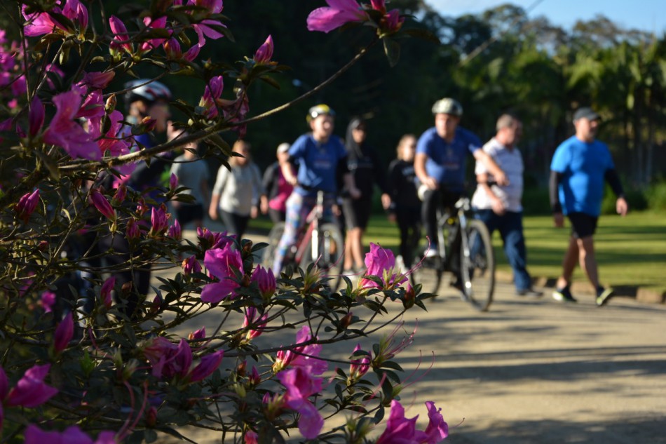 Mais de 2 mil pessoas participam da Caminhada da Vila Itoupava