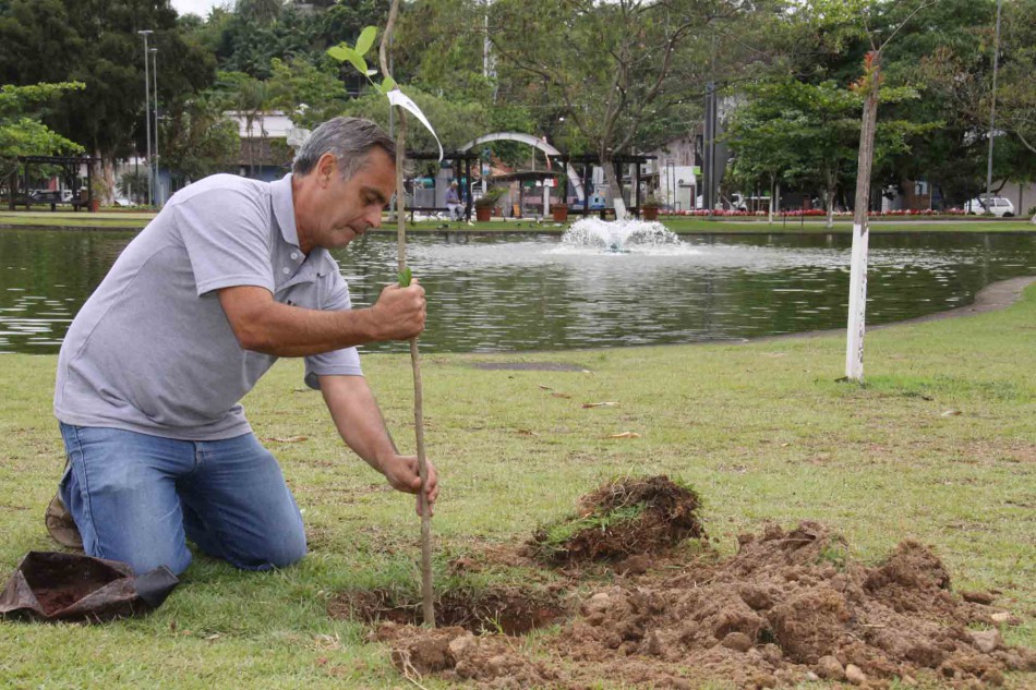 Semmas planta mudas em comemoração ao Dia da Árvore