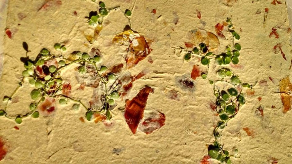 Nelson Julio promove workshop com papel reciclado