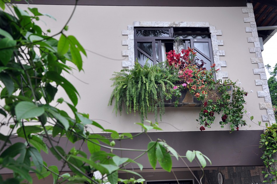 Última semana para se inscrever no Concurso de Jardins