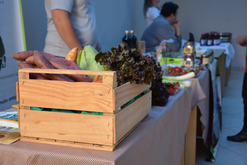 "O chique é ser sustentável" é tema de Seminário de Segurança Alimentar e Nutricional