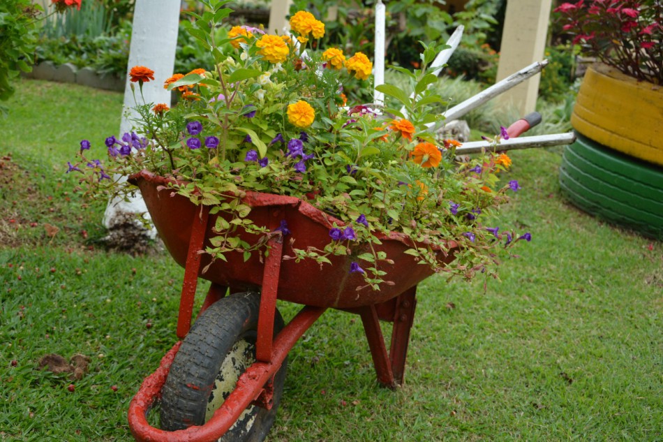 Moradora do bairro Fidélis vence a 3ª edição do Concurso de Jardins 