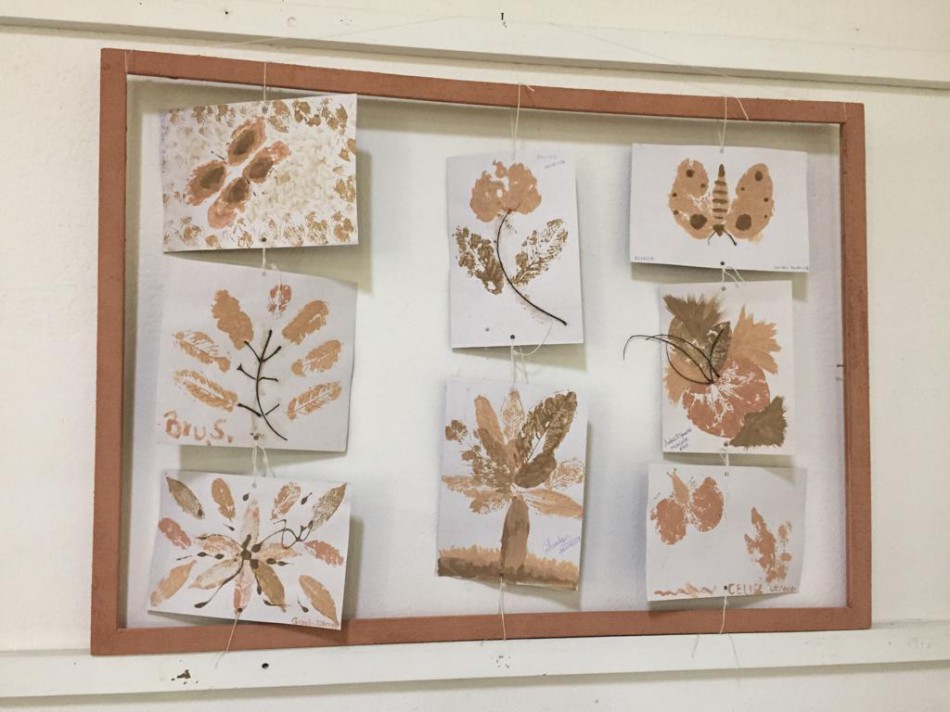 Museu Fritz Müller apresenta a exposição de geotinta