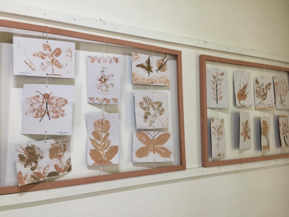 Exposição geotinta prossegue aberta no Museu Fritz Müller