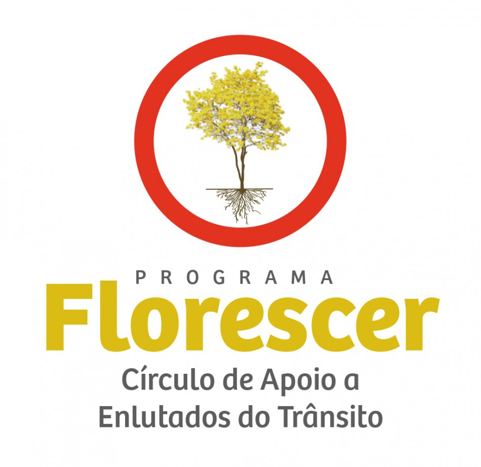 Programa de apoio aos enlutados pelo trânsito tem calendário definido para 2020