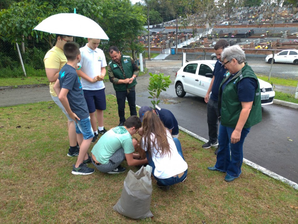 Cepread recebe mudas arbóreas da Mata Atlântica
