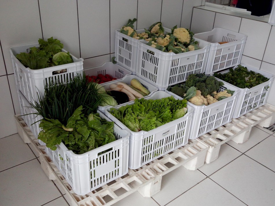 Banco de Alimentos de Blumenau passa a receber alimentos de Lages
