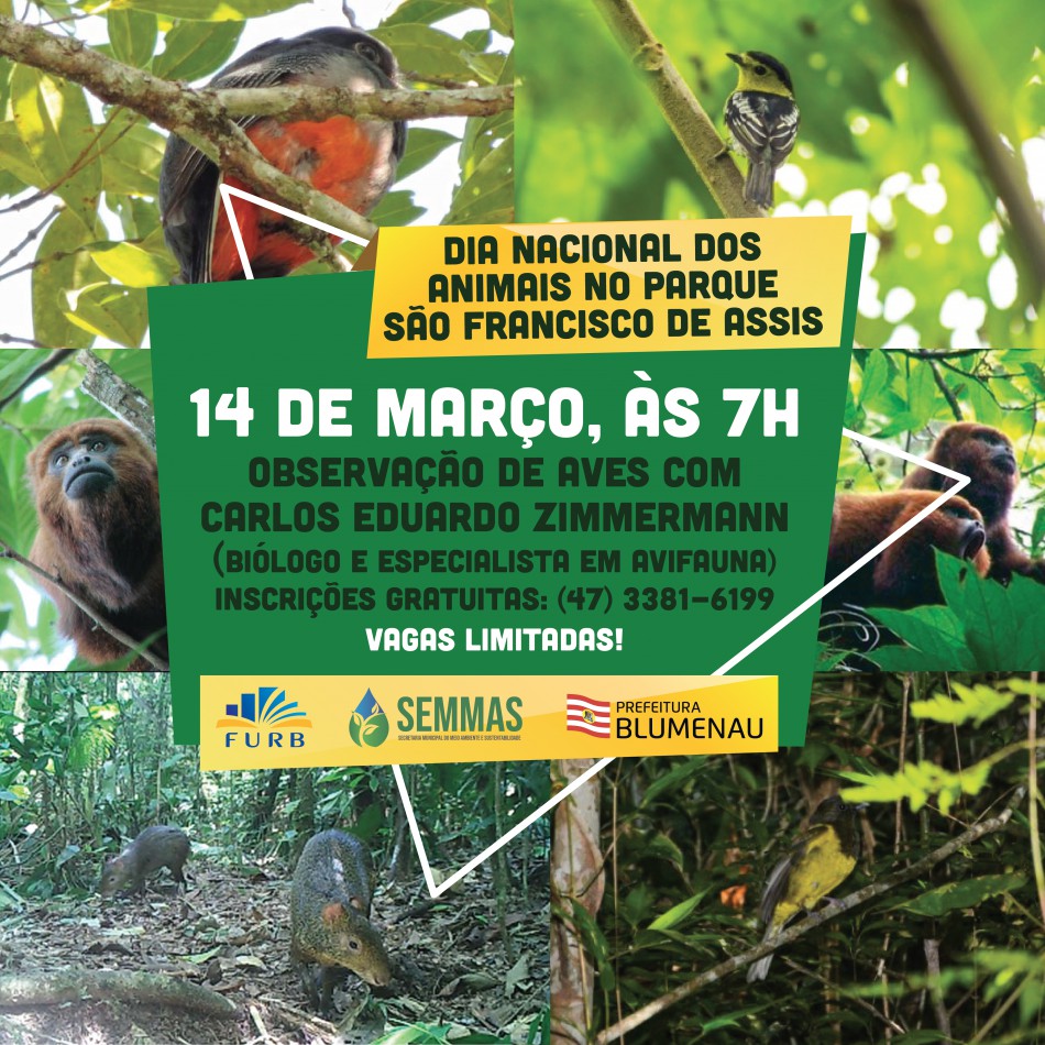 Semmas promove no dia 14 observação de aves no Parque São Francisco de Assis