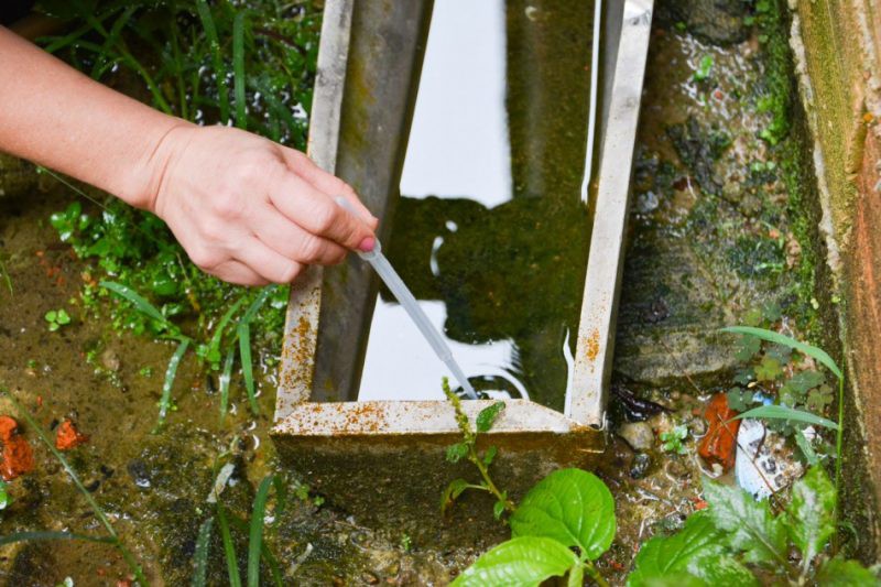 Em um mês, mais de 150 focos de Aedes são encontrados em Blumenau 