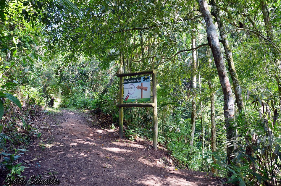 Parque São Francisco de Assis e Parcão serão fechados em função da pandemia 