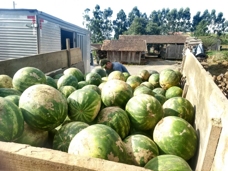 Banco de Alimentos de Blumenau recebe produtos da agricultura familiar