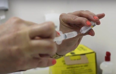 Blumenau registrou sete casos de febre amarela em 2020