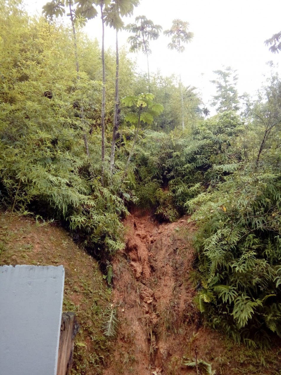 Mais de 350 ocorrências são registradas por conta das chuvas em Blumenau