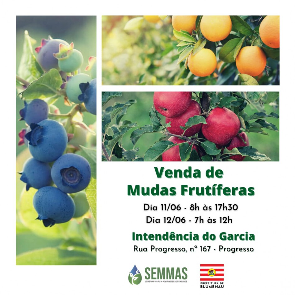 Mudas frutíferas serão comercializadas nesta sexta-feira e sábado, dias 11 e 12
