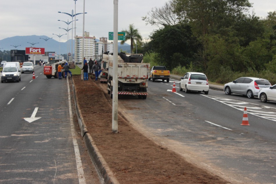 Seurb prossegue com a troca de camada vegetal no canteiro central na Via expressa