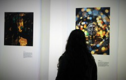 Museu de Arte abre exposições voltadas para a conscientização ambiental
