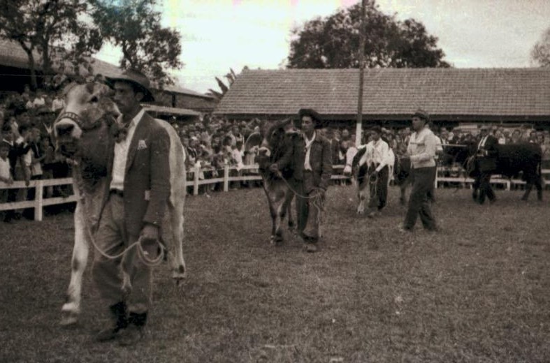 Memória Digital: Exposição Agropecuária