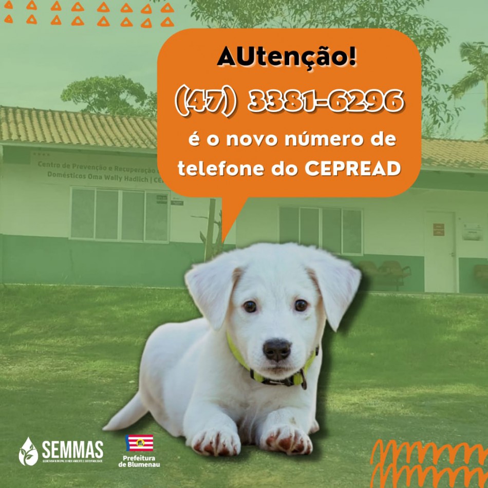 Cepread está com novo número de telefone