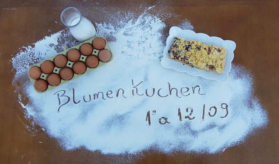 Abertas inscrições para padarias participarem do Blumenkuchen, o Festival de Cucas