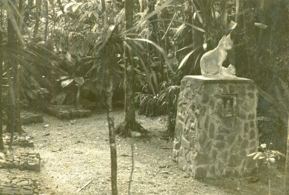 Memória Digital: Cemitério Gatos