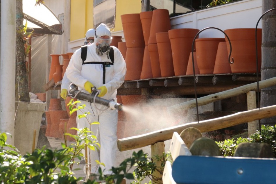 Programa de Combate à Dengue de Blumenau registra aumento de 587,50% nas denúncias