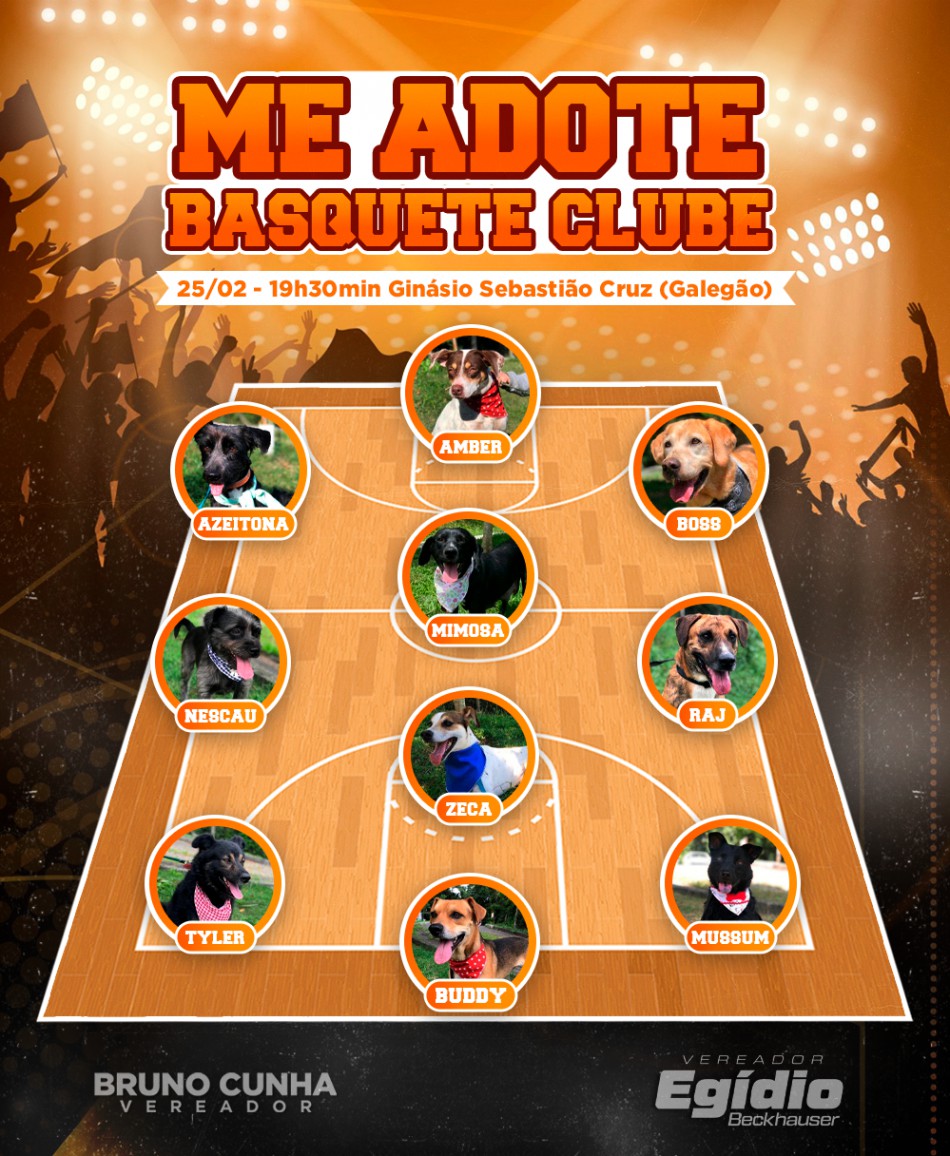 Jogo de basquete em Blumenau promove ação em apoio à adoção responsável de animais do Cepread