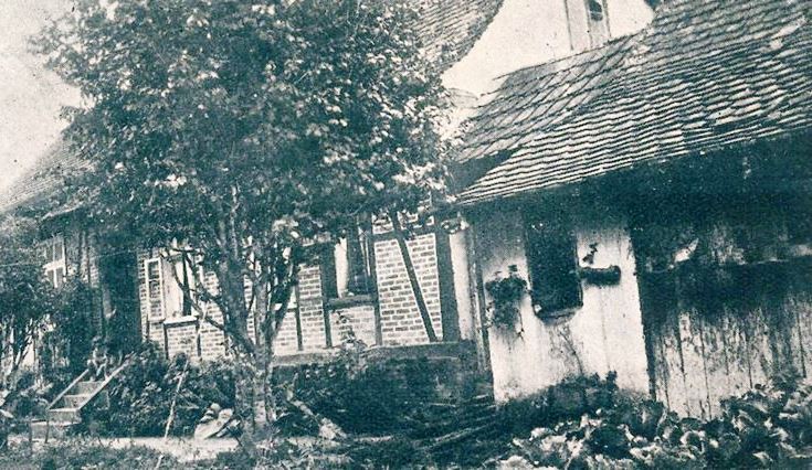 Memória Digital: Residência de Fritz Müller (1931)
