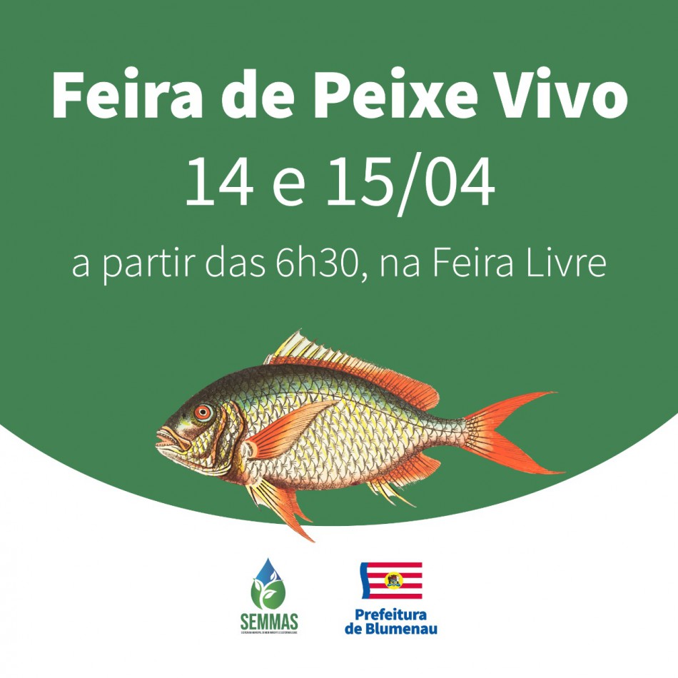 Semmas promove na próxima semana a tradicional Feira do Peixe Vivo