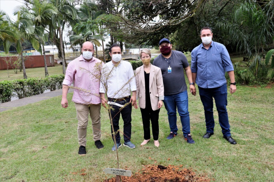 Samae faz plantio de mudas e feirinha com produtos orgânicos durante semana ODS