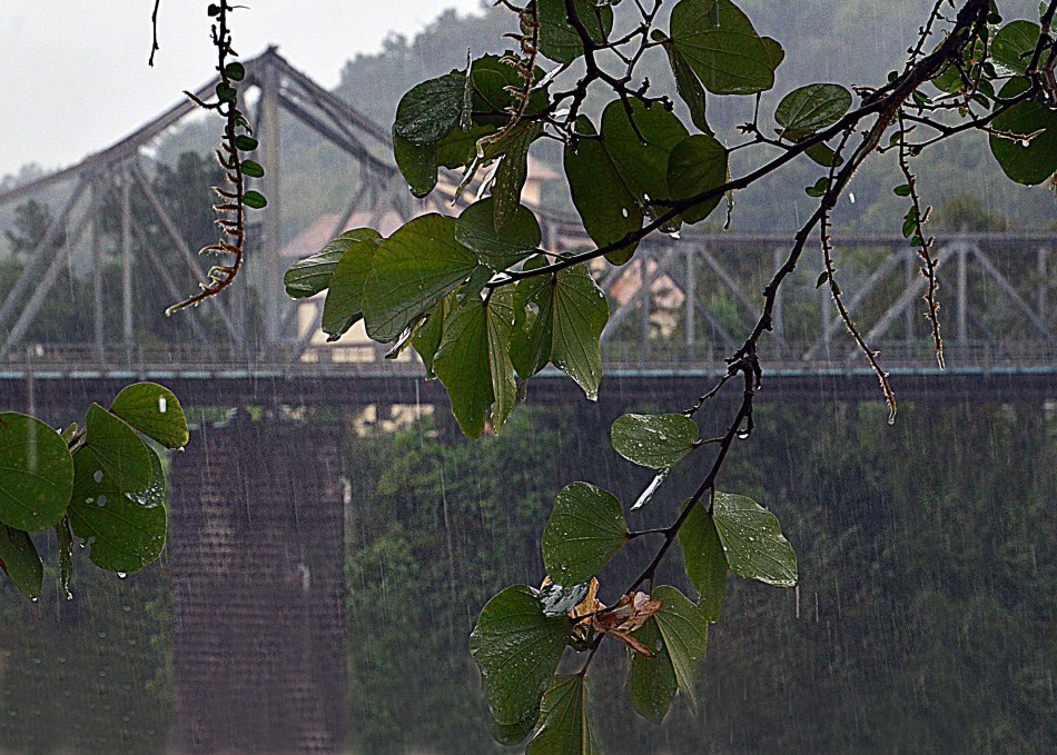 Defesa Civil de Blumenau alerta para possibilidade de temporal com chuva intensa