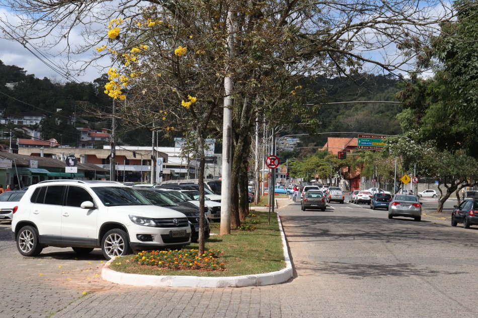Prefeitura conclui a adequação dos canteiros centrais da Rua Alberto Stein 