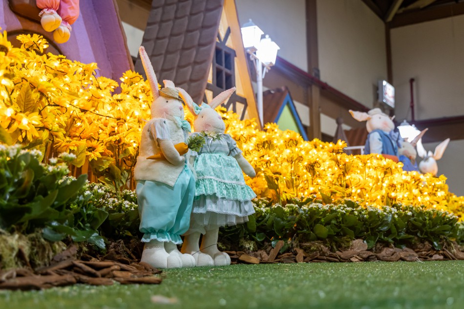 Confira as atividades para o fim de semana em Blumenau