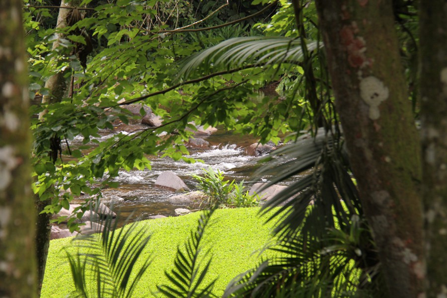 Prefeitura promove audiência pública sobre o código do meio ambiente