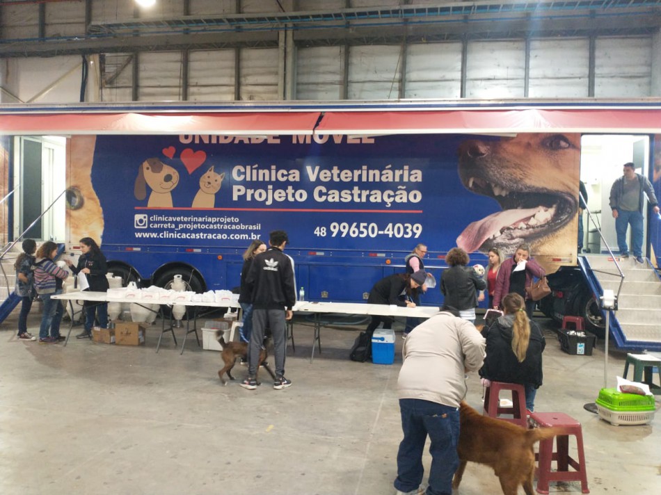 Famílias de baixa renda e ONG?s são beneficiadas com castração animal gratuita em Blumenau