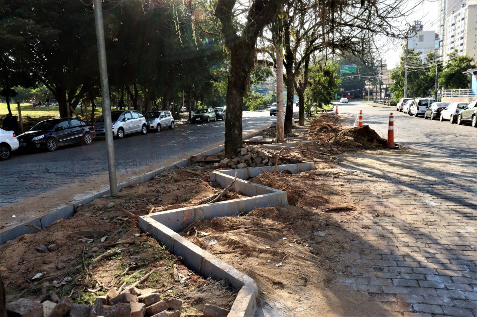 Prefeitura trabalha na revitalização dos canteiros centrais da Rua Alberto Stein