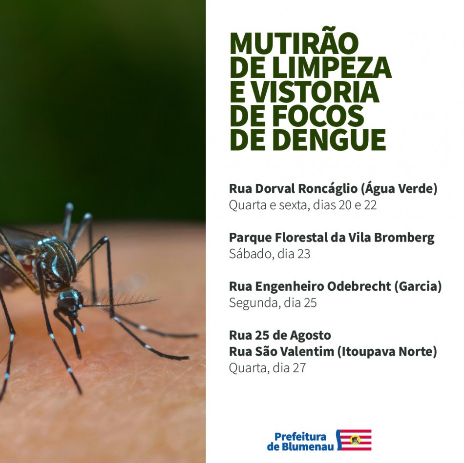 Prefeitura de Blumenau divulga próximos mutirões contra a Dengue na cidade