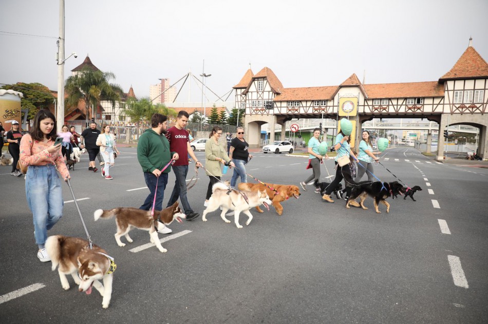 Últimos dias para se inscrever na 28ª Cãominhada